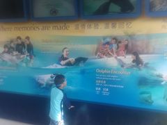 -新加坡水上探险乐园