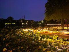 -八卦田遗址公园