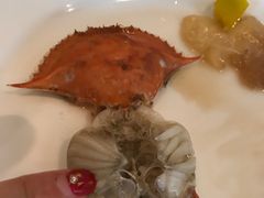 -富力希尔顿酒店·地阔自助餐厅