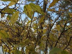 -白塘生态植物园