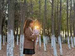 -艾溪湖湿地公园