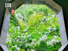 -惠山古镇·寄畅园