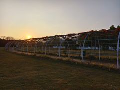 -水底山庄园温泉