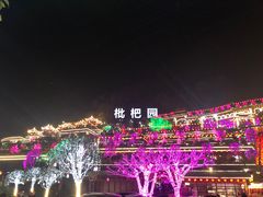 -枇杷园食为鲜火锅(南山店)