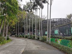 -紫马岭公园