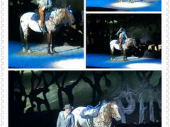 -cavalia·舞马
