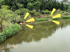 -映月湖公园