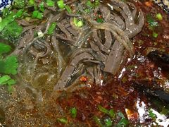 -惠记粉汤羊血梆梆肉(永松路店)