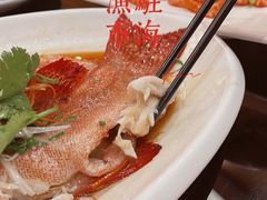 -驻海渔市(置信店)