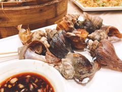 白灼小海螺-桥东喜碧海鲜街(水东街店)
