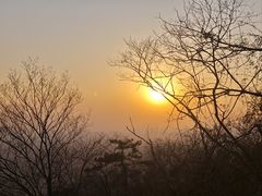 -紫金山山顶公园