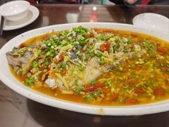 飞虹鱼-飞虹鱼馆(春华路店)