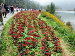 -广州市石门国家森林公园