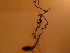 -宫七SPA·高端Massage(浦东大道店)