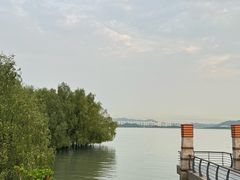 -深圳湾公园(南山区)