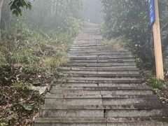 -午潮山国家森林公园