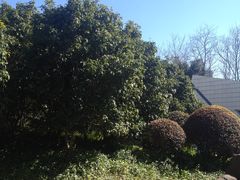 -苏州河梦清园环保主题公园