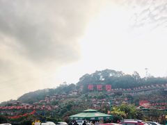 -伴山茶苑·围炉煮茶