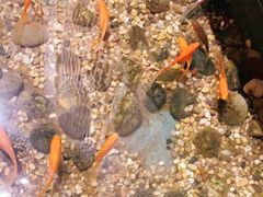 -邈墨茶馆(凤起路店)