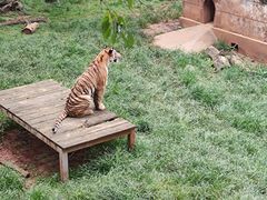 -昆明动物园