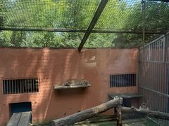 -青藏高原野生动物园