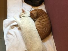 -汇佳桌游剧本咖啡馆(万体馆旗舰店)