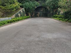 -吴淞炮台湾湿地森林公园烧烤区
