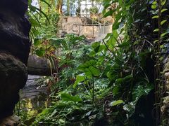 -北京植物园-展览温室