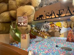 -卡通尼·Safari非洲探索乐园·生日会(金桥国际商业广场店)