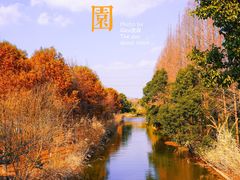 -上海长兴岛郊野公园