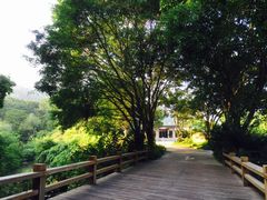 -龙山酒店温泉