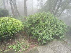 -庐山风景区花径公园