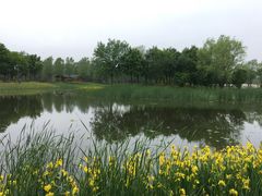 -东郊湿地公园