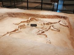 -洛阳周王城天子驾六博物馆