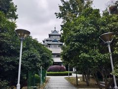 -金鸡湖桃花岛
