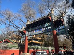 -北京国子监胡同
