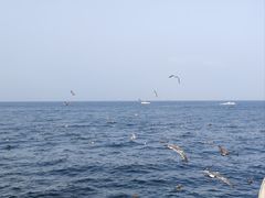 -大连海昌东方水城