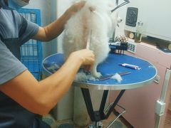 -乐琪宠物医院·犬猫专科·骨外科·急重症
