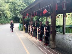 -西双版纳原始森林公园