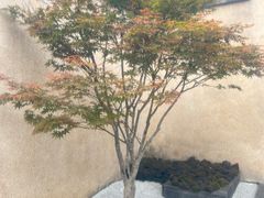 -和顺柏联温泉