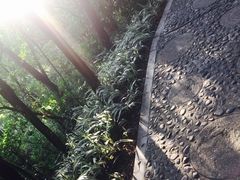 -仙岳公园