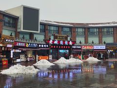 -秦始皇帝陵博物院-丽山园