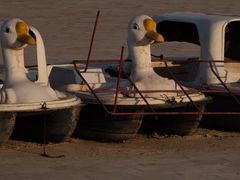 -裕华世纪公园