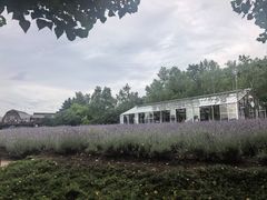 -富田农场
