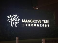-三亚湾红树林度假世界(木棉酒店)