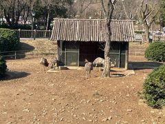 -无锡动物园·太湖欢乐园