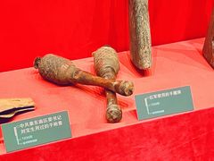 -温州博物馆