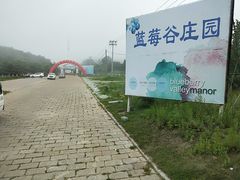 -金石滩蓝莓谷庄园