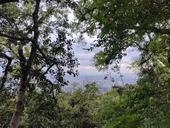 -广州市白云山风景名胜区
