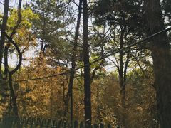 -红螺寺